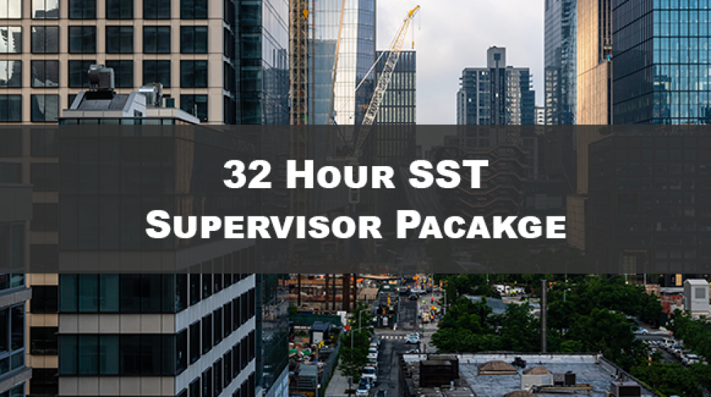 Participants in 32 Hour SST training session