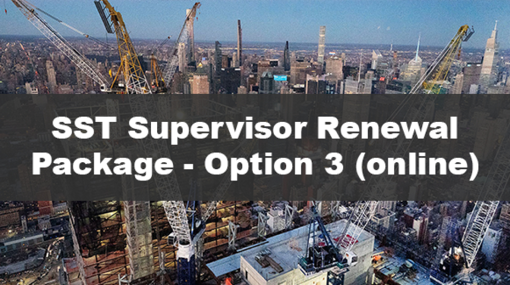 SST Supervisor Renewal Package Training Session by Able Safety Consulting