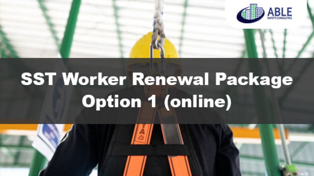 Paquete de Renovacion para Trabajadores SST Opcion 1