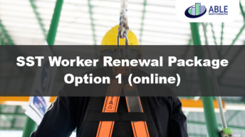 Paquete de Renovacion para Trabajadores SST Opcion 1