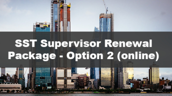 Paquete de Renovación para Supervisores SST - Opción 2