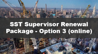 Paquete de Renovación para Supervisores SST - Opción 3