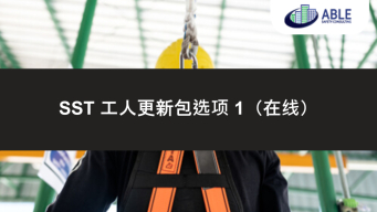 SST 工人更新套餐选项 1